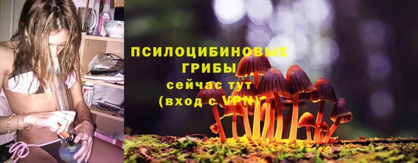 дурь Верея